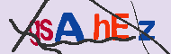 Ungültiger Sicherheitscode
